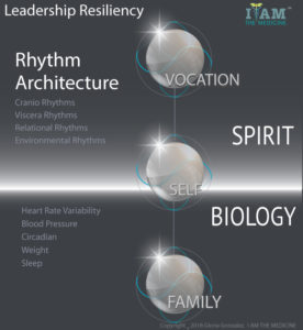 I AM THE MEDICINE Systems Rhythm Architecture