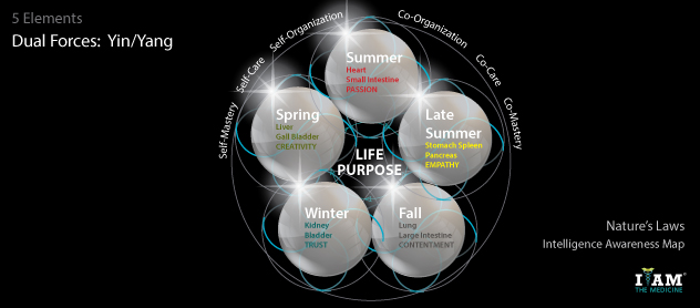 Self-Organizing Body