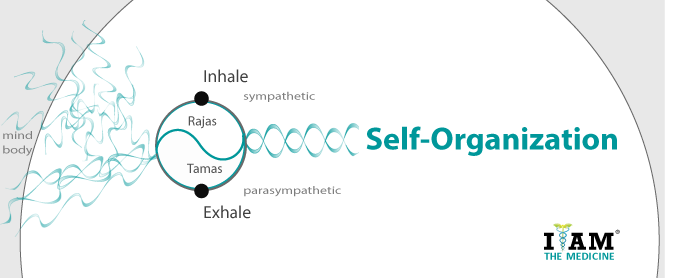 self-organzing yoga