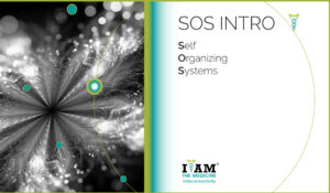 Self-Organizing-Systems-1