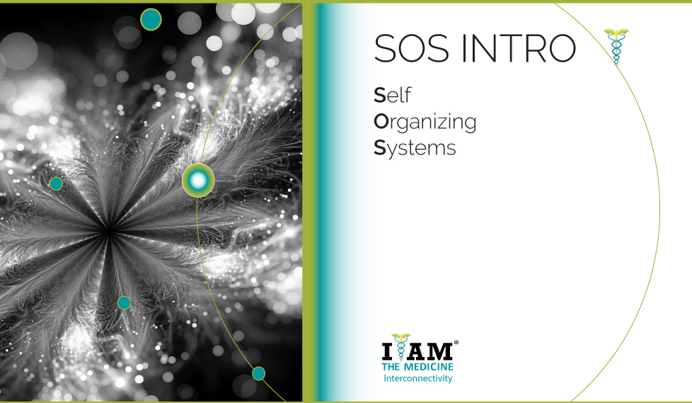 Self-Organizing Systems 2