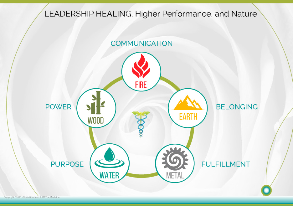 Leadership Healing and Nature