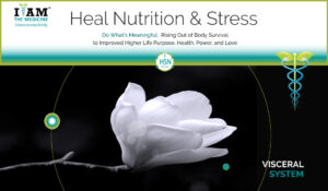 Heal-Nutrition-Stress-1