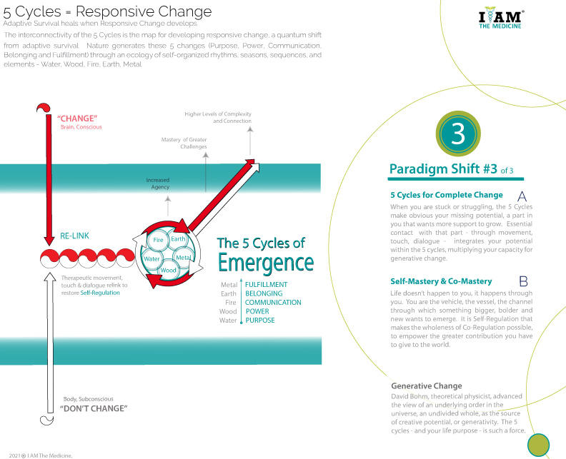 Expansion through Responsive Change