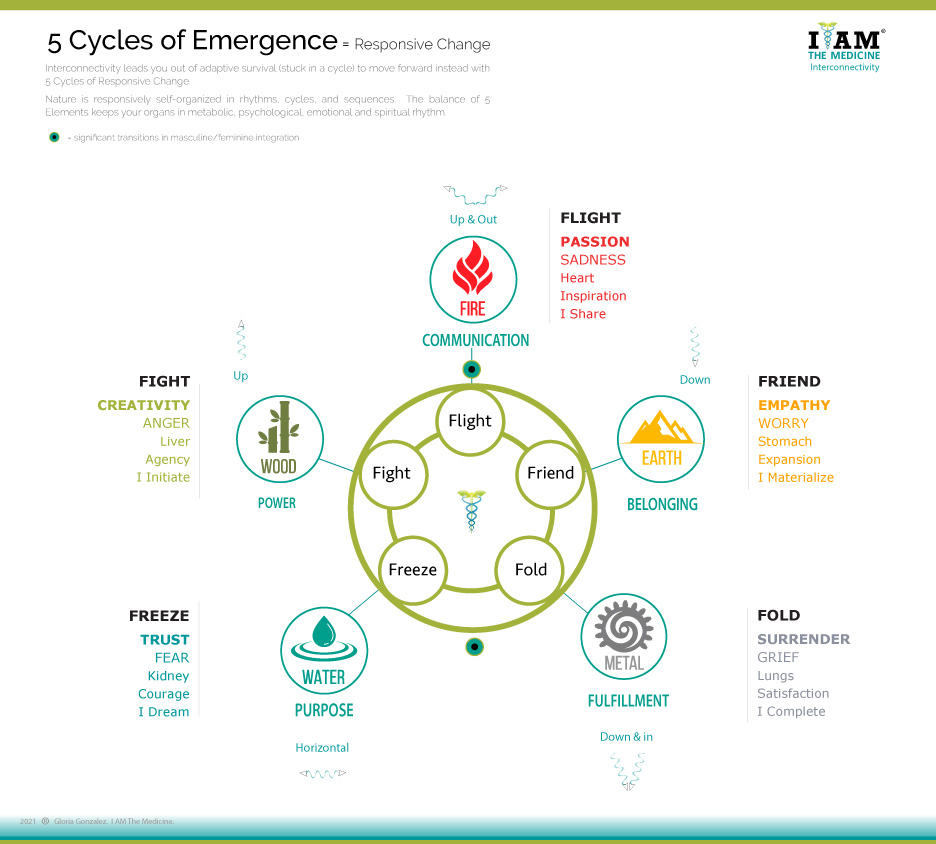 5 Cycles of Emergence