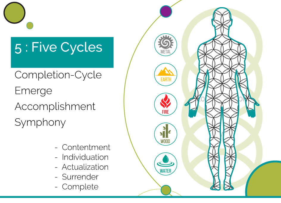 Five Cycles Emergence