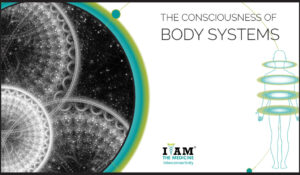 Consciousness Self-Organizing Diaphragms